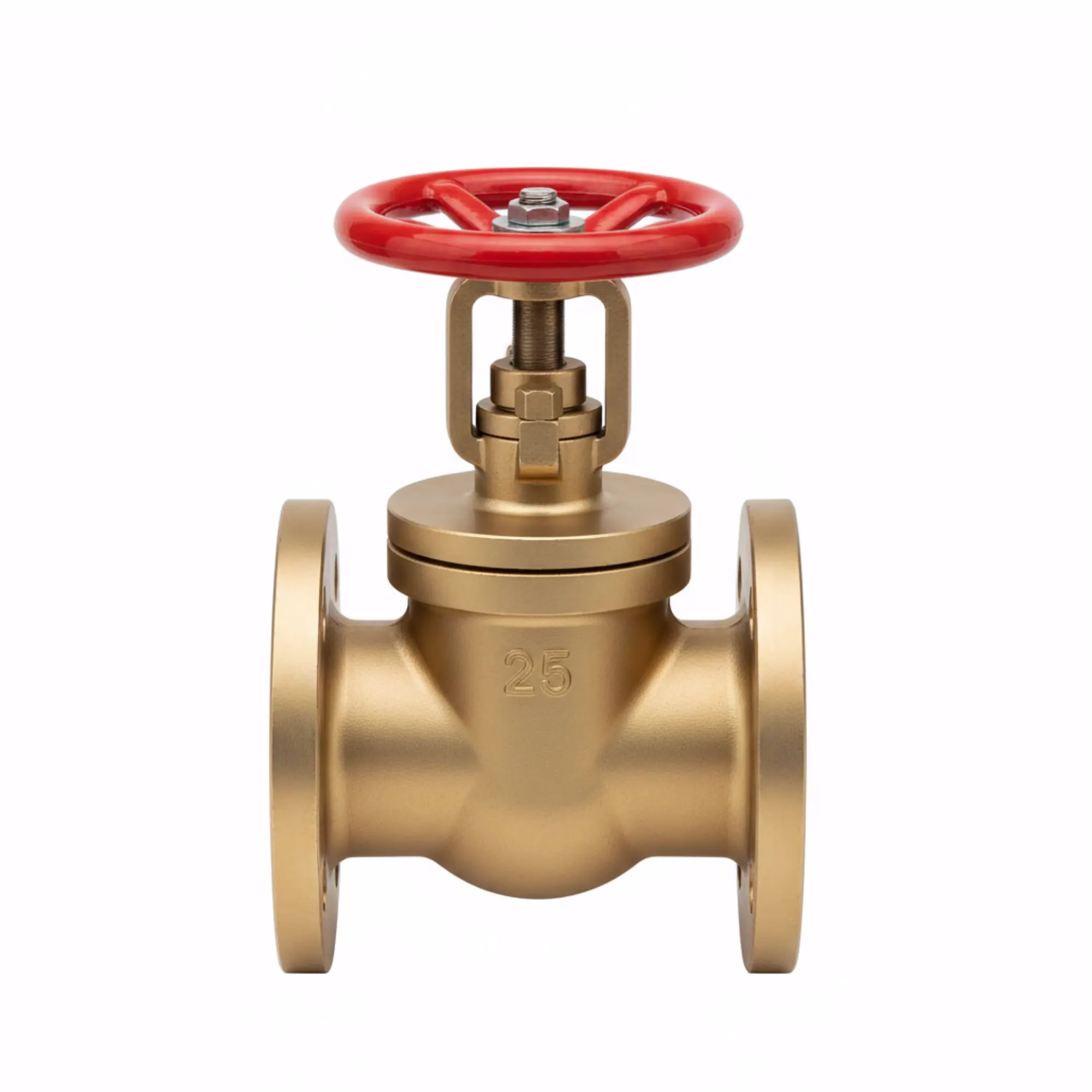 Globe Valve